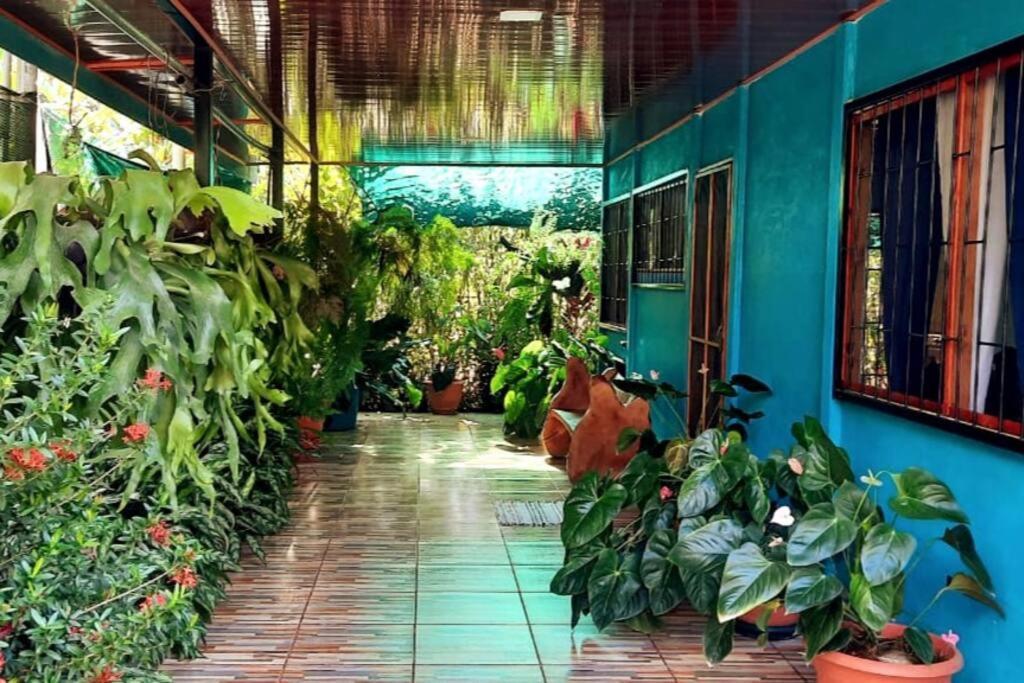 Hospedaje Valencia Osa, Cr Potrero  Bagian luar foto
