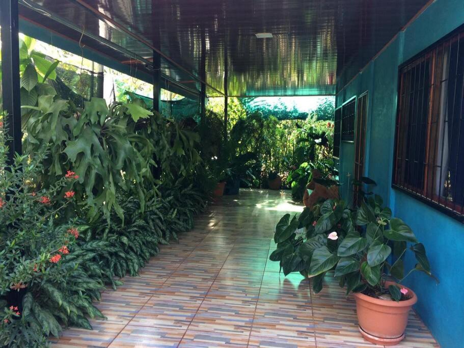 Hospedaje Valencia Osa, Cr Potrero  Bagian luar foto