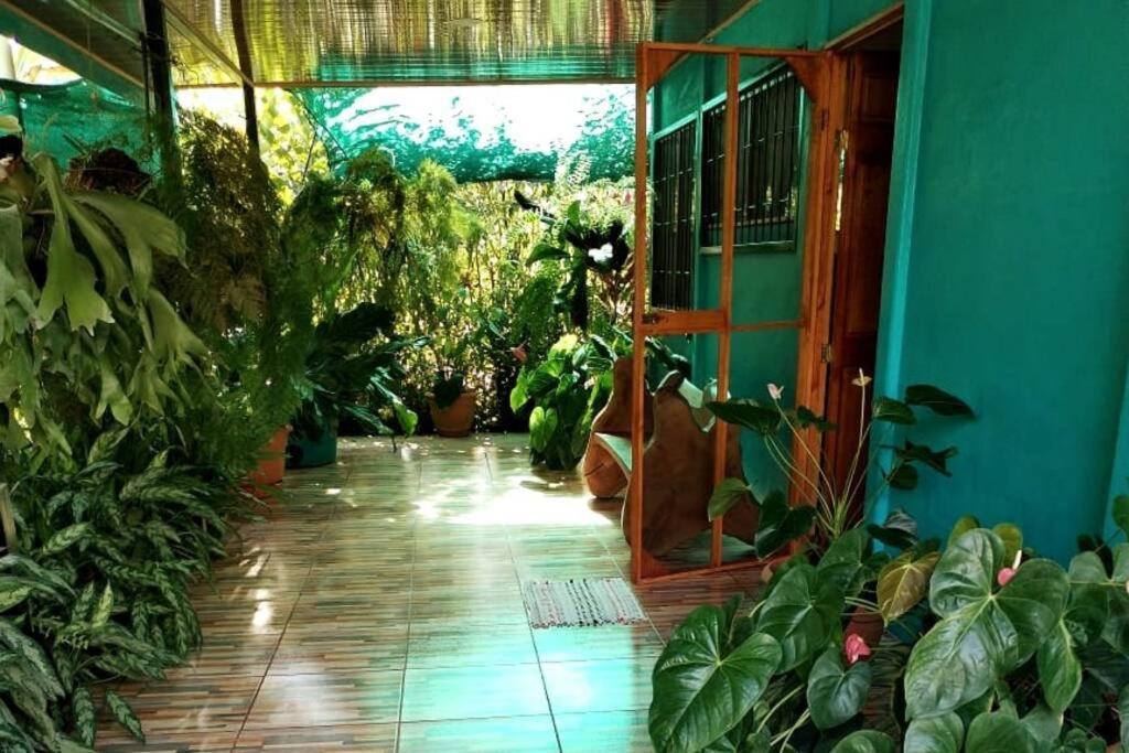 Hospedaje Valencia Osa, Cr Potrero  Bagian luar foto